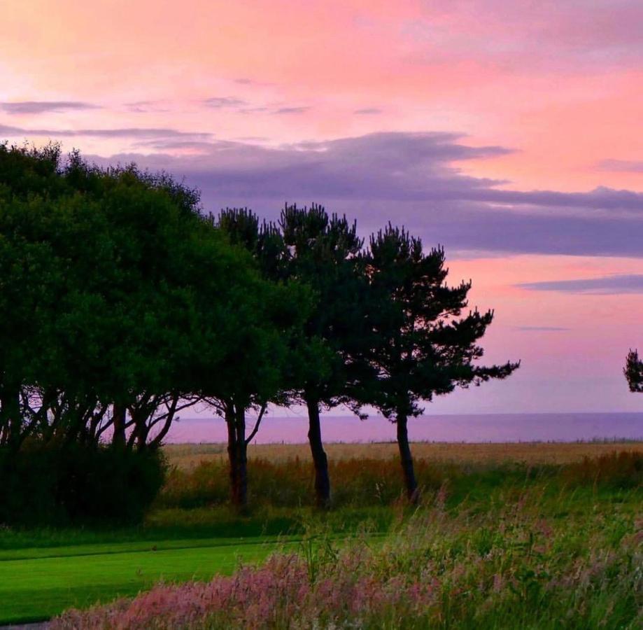Normandy'S Green By The Sea Port-en-Bessin-Huppain Luaran gambar